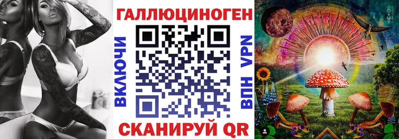 Купить  Балаково  Псилоцибиновые грибы Psilocybine cubensis 